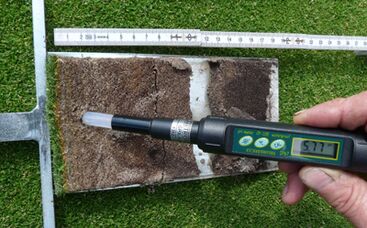 „Rasen-Tools“ zur Unterstützung des Pflegemanagements