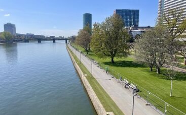 Fallbeispiel: Rasenrenovation der „EM-Fanzone“ am Frankfurter Mainufer