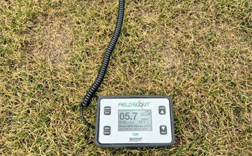 Frühjahrstrockenheit auch auf Rasenflächen bemerkbar