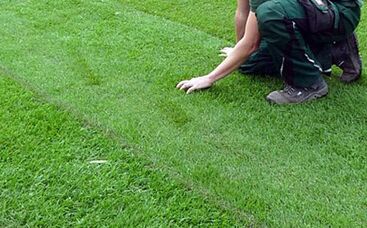 Fertigrasen die schnelle Lösung; was bedeutet Qualität?