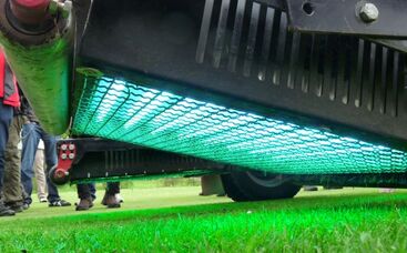 Vorbeugen von Pilzkrankheiten durch Pflegemanagement