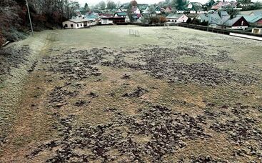 Wildschweinschäden: Lösungen durch den integrierten Pflanzenschutz