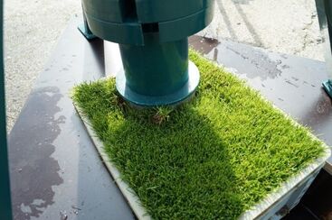 INTERGREEN fördert Rasenforschung