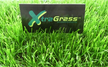 INTERGREEN-XtraGrass: Das Hybridrasen-System mit der Stärke aus Natur- und Kunstrasen
