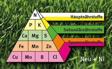 Nährstoff-Versorgungsstufen für Sportrasen