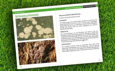 Minilexikon Rasen - Deine Unterstützung vor Ort