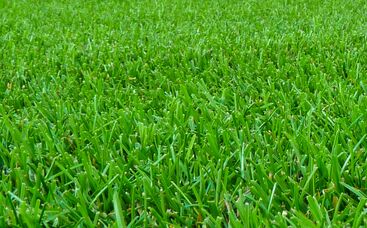 Tipp vom Fachmann: Welche Rolle spielt die Temperatur?