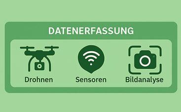 Wie sieht die Sportplatzpflege der Zukunft aus?