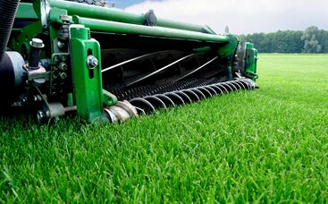 Sachgerechtes Mähen fördert Narbenbildung des Rasens