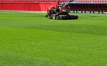 Warum ist der Stadionrasen auch im Winter grün?
