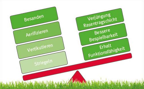 Durch die richtigen Maßnahmen zum voll funktionsfähigen Sportrasen.