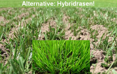 Mit RTS-Material verfüllter INTERGREEN-Xtragrass Rasen.